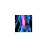 Clasen Jeff DC - Chiropractors in Wichita