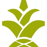 Parker And Klein - Cleaning Services in Louisville