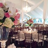 Reliable Rentals - Party Supplies in Louisville