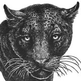 Ludlow Independent Schools - Combined Elementary and Secondary Schools in Covington