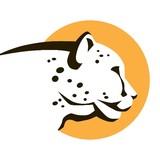 Cheetah Clean Carwash - Cleaning Services in Owensboro