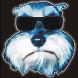 Blind Dog Studios - Other in Crestwood