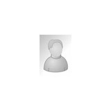 Big South Realty & Auction LLC - Other in Gamaliel