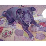 Bliss Gallery & Gifts - Other in Prospect