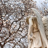 Auburn Cemetery - Funeral Services & Cemeteries in Auburn