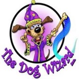 Louisville Dog Wizard - Pet/Animal Training in Louisville
