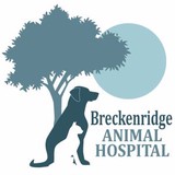 Breckenridge Animal Hospital - Veterinarians/Vets in Louisville