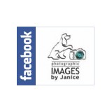Images By Janice LLC - Commercial Photography in Louisville