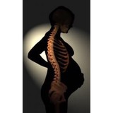 Hay Chiropractic Center - Chiropractors in Newport