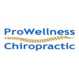 Pro Wellness Chiropractor - Chiropractors in Bellevue