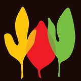 Plant Kingdom - Landscaping in Louisville