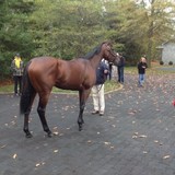 Warren Dale Sales - Manufacturer in Lexington