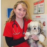 Advanced Animal Care - Veterinarians/Vets in Richmond