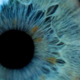 Bluegrass Eye Center - Other in Crestwood