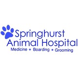 Springhurst Animal Hospital - Veterinarians/Vets in Louisville