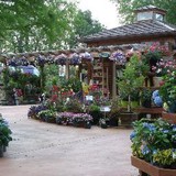 Springhouse Gardens - Landscaping in Nicholasville