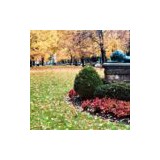 Greenscapes Lawn & Landscaping - Landscaping in Louisville