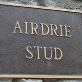 Airdrie Stud - Other in Midway