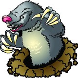 Moleliminator - Pest Control in Shelbyville