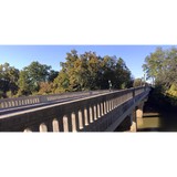 Cynthiana Occupational License - Other in Cynthiana