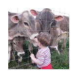 Alpine Hills Dairy Farm - Other in Dry Ridge