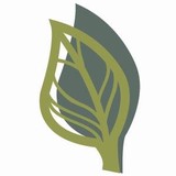 Ashley Rountree & Assoc - Business Consulting in Louisville