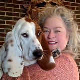 Basset Hound Town Enterprises - Other in Fort Thomas