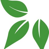 Compassionate Care - Physiotherapy in Richmond