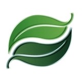 Evergreen Advisor Inc - Financial Services in Covington