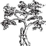 Ortho Kentucky Pllc - Surgeons in Lexington