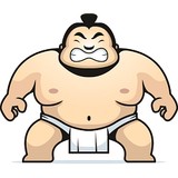 Sumo Storage - First Month FREE! - Other in Owensboro