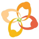 Evonir Network LLC - Software Development in New Orleans