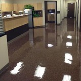 Traylor Pro, LLC - Cleaning Services in Baton Rouge