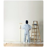 David McWilliams Painting & Dry Wall - Painters & Decorators in Columbia