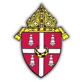 Dci of Alexandria - Musical Instruments & Services in Alexandria