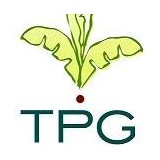 Plant Gallery - Florists in New Orleans