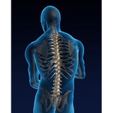 Schroeder Family Chiropractic - Chiropractors in Covington