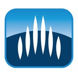 Cyrus International - Legal Services in Baton Rouge