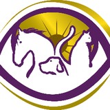 Southern Veterinary Eyecare - Veterinarians/Vets in Mandeville