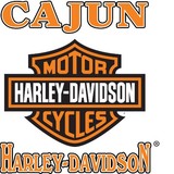 Cajun Harley-Davidson/Buell - Other in Scott