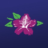 Angelo's Lawn-Scape-LA - Landscape Architects in Baton Rouge