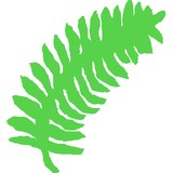 Vista Landscaping - Landscape Architects in New Orleans