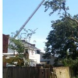 Billy Broussard Tree Service - Tree Services in Lafayette