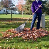 Horticare Tree  Landscaping - Lawn Services in Baton Rouge
