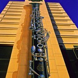 Civic Center Site Development LLC - Hotels in New Orleans