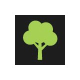 Tree Man Inc - Tree Services in New Orleans