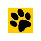 Perfect Paws Daycare - Other in Leesville