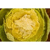 Southern Food & Beverage Msms - Museums in New Orleans