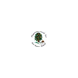 Plaquemines Parish Fair And Orange Festival Association Inc - Other in Belle Chasse
