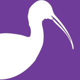 The Ibis Network - Business Consulting in Baton Rouge